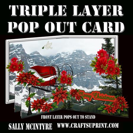 Triple Layer Pop Out Christmas Poinsettia Snow Scene