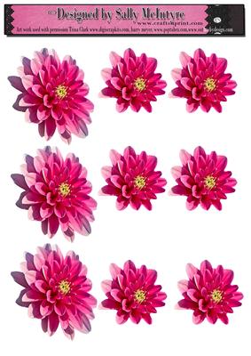 Build a Flower Dahlia