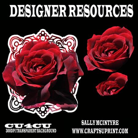 Designer Resource 3 Layered Rose and Frame