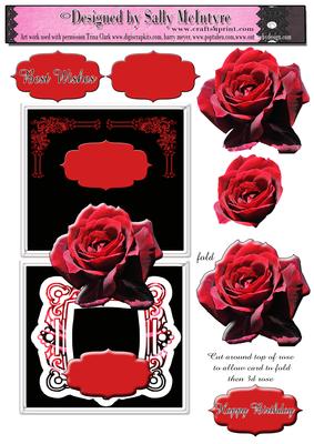 Over the Top Red Rose