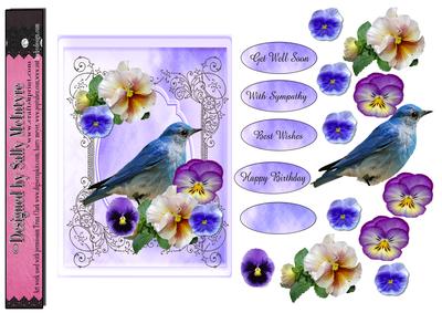 Blue Bird Multi Sentiment Pansies