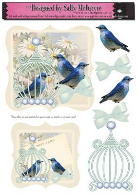 Vintage Blue Birds Card and Insert or 2 Cards Your Choice Wi
