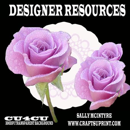 Pink Roses Layered with Frame Designer Resource