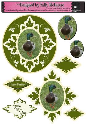 Its a Duck, Great Male Cards