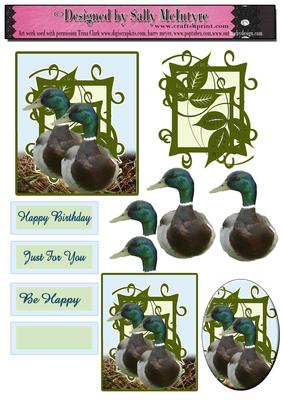 Duck Over Some Time 2 Card Sheet