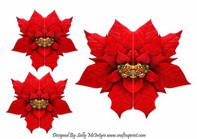 Folded Poinsettia Shaped Card with Matching Gift Cards