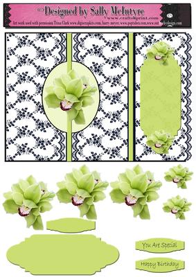 Formal Black and White Fold Back Card with Green Orchids
