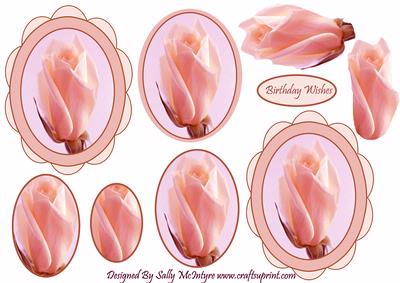 Pink Rose 2 Card Sheet