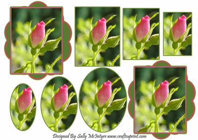 Beauty in a Rose 2 Card Sheet