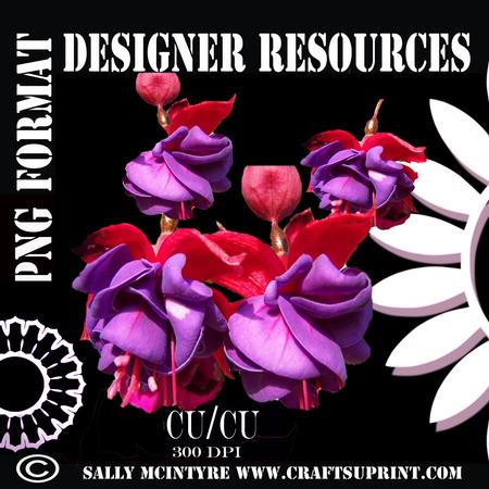 Designer Resources Fuschia Cut Out Ready to Use Png Format
