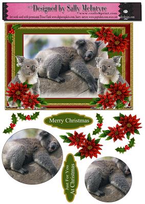 Koala at Christmas Card with Pyramid and 3D