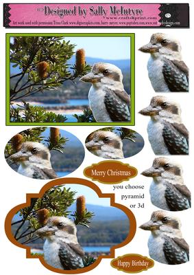Christmas Birthday or Other Special Occasion Kookaburra