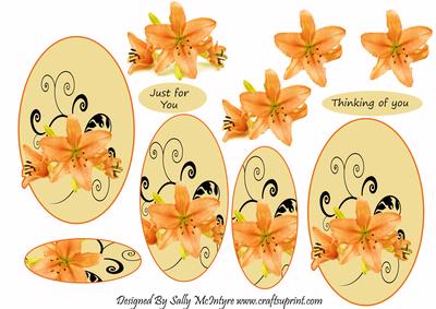 Beauty in Alily Just for You Thinking of You