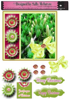 Christmas Pine Cones with Gift Card and 3D