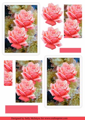 Pretty as a Picture Blank Greeting Blocks