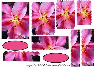Lily Wavy Edge Pyramid 2 Card Sheet