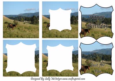For the Horse Lover Tunnell Card and Greeting