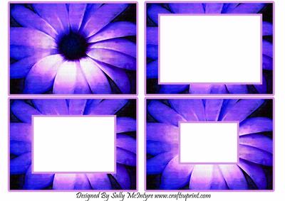 All in Purple