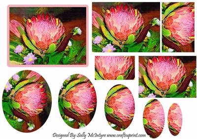 Beauty in a Flower