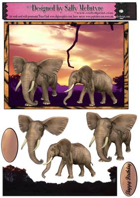 Elephants Rulers of the Jungle Sunset
