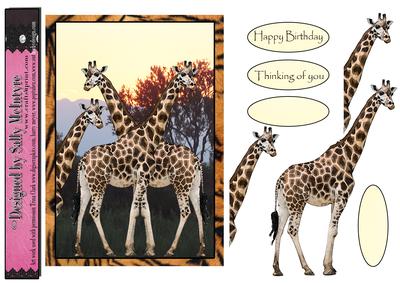 Giraffe Sunset in the Jungle