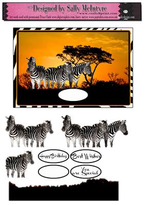 Zebra Crossing Sunset in Africa Card