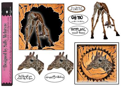Giraffes Oh No Not Another Birthday