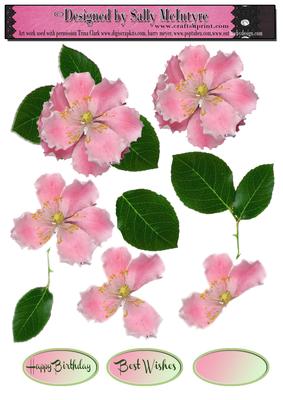 Pink Peony and Leaves 3D