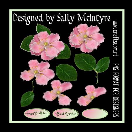 Peony Rose Cut Out for Digital Design with Leaves