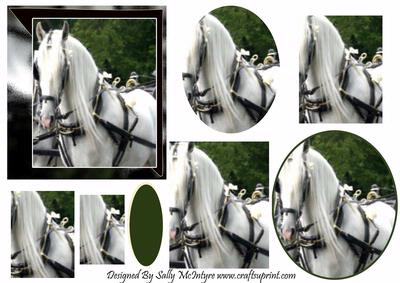 For the Horse Lover
