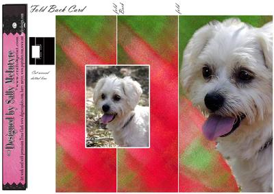Fold Back Card White Fluffy Maltese Puppy