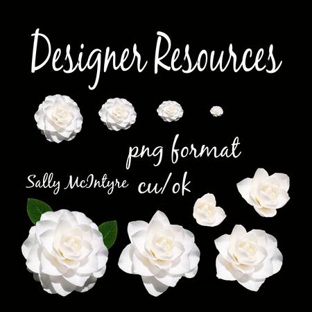 Camelia Cut Out Ready to Use Designer Resource