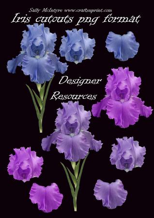 Iris Cut Out Ready to Use Png Format Cu4cu