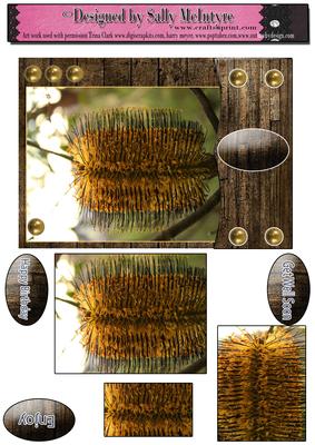 Banksia Flower Pyramid