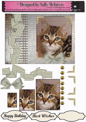 Pretty as a Picture Cat Card