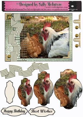 Chooks and Hens and Roosters