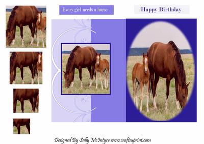 Every Girl Needs a Horse Happy Birthday Foldback Card with Pyramid