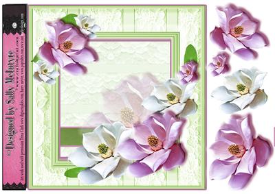 Lime and Pink Lace Frame with Magnolias