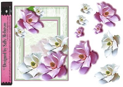 Magnolia with Lace