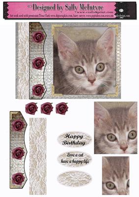 Love a Cat Have a Happy Life