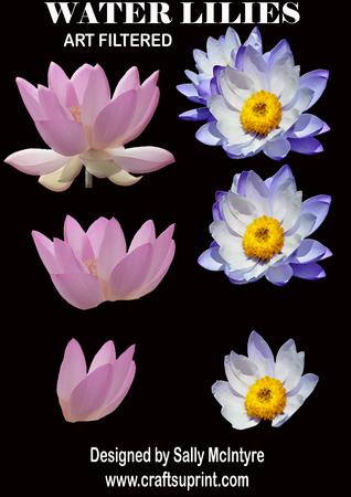 Waterlilies Cut Out Designer Resources,png Format Cu/ok