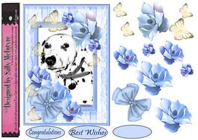 All About a Beautiful Dalmation