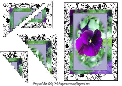 Pantastic, Purple Pansys Corner Pyramid