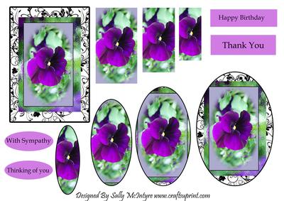 Pansys for a Friend Happy Birthday Thank You with Sympathy Thinking of You