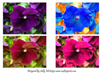 Pansys from My Garden Toppers