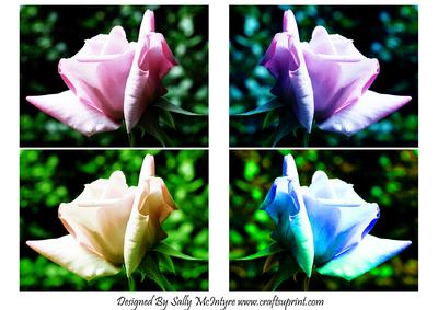 Rose Toppers for Every Occasion