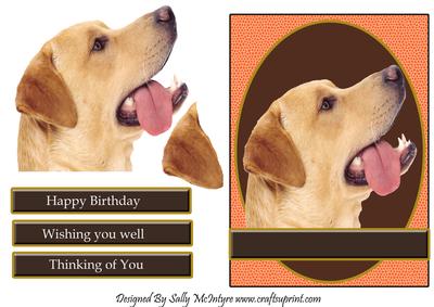 For the Dog Lover Happy Birthday Wishing You Well Thinking of You