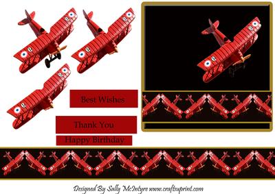 Flying High Best Wishes Happy Birthday Thank You