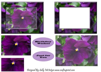 Purple Passion Pansy Multi Card Sheet