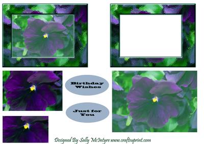 Blue Passion Pansy Multi Card Sheet